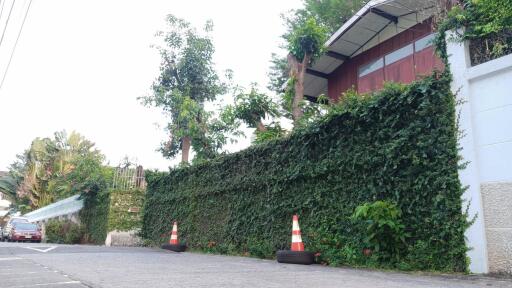 Residential property exterior with lush green ivy on walls and a gated entrance