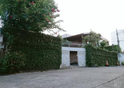 Ivy-covered gated entrance to a residential property