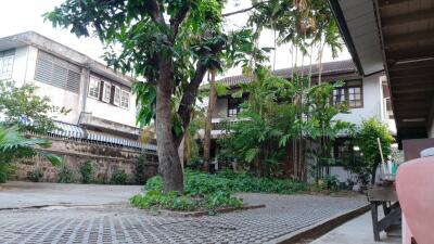 Tropical garden front yard with paved pathway and lush greenery