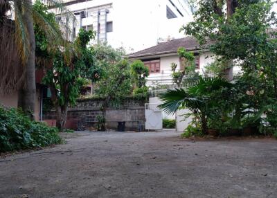 Lush green courtyard in urban home