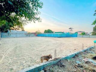 Spacious vacant land ready for development with a clear blue sky during sunset