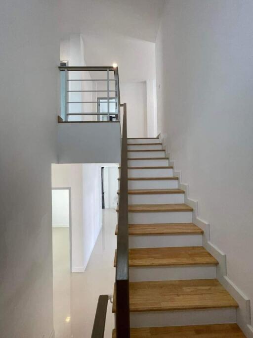 Modern staircase with wooden steps and white interior