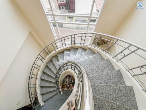 Elegant spiral staircase with modern design in a bright interior space