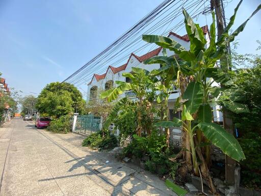176 Sqm., 2 Beds, 1 Bath Townhouse listed for ฿ 2,613,000.