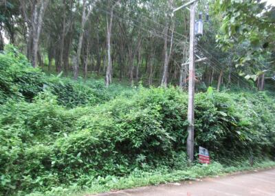 13,524 Sqm., 1 Bed Land listed for ฿ 19,526,000.