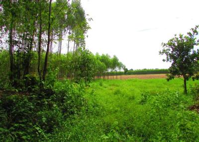 155,868 Sqm. Land listed for ฿ 16,280,000.