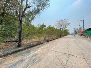 11,384 Sqm. Land listed for ฿ 14,942,000.