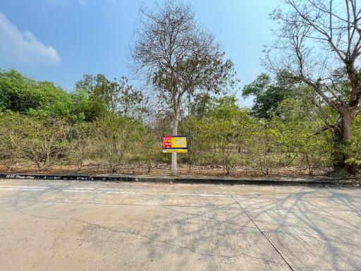 11,384 Sqm. Land listed for ฿ 14,942,000.