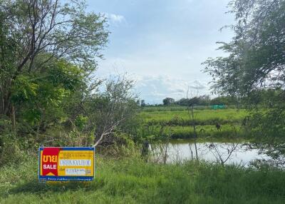 7,484 Sqm. Land listed for ฿ 14,735,000.