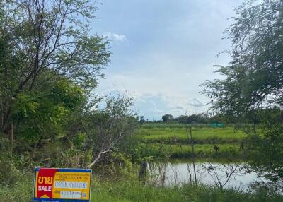 7,484 Sqm. Land listed for ฿ 14,735,000.