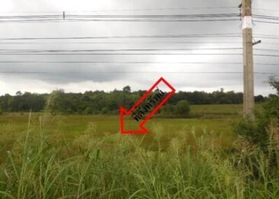 32,000 Sqm. Land listed for ฿ 14,280,000.