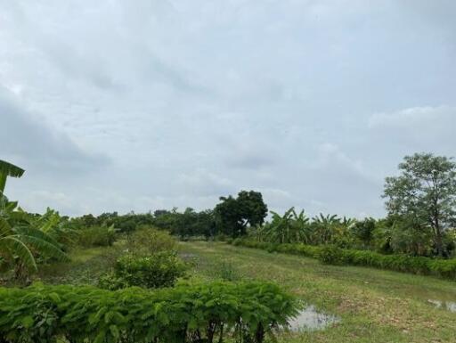 53,488 Sqm. Land listed for ฿ 13,057,000.