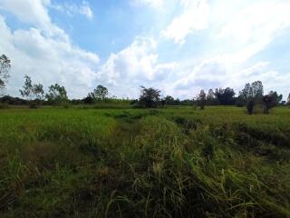 122,824 Sqm. Land listed for ฿ 12,091,000.