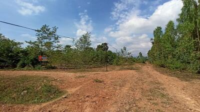 122,824 Sqm. Land listed for ฿ 12,091,000.