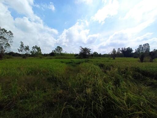 122,824 Sqm. Land listed for ฿ 12,091,000.