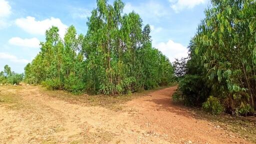 122,824 Sqm. Land listed for ฿ 12,091,000.