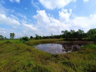 122,824 Sqm. Land listed for ฿ 12,091,000.