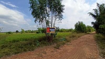 122,824 Sqm. Land listed for ฿ 12,091,000.