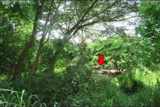 73,032 Sqm. Land listed for ฿ 11,503,000.