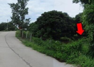 73,032 Sqm. Land listed for ฿ 11,503,000.