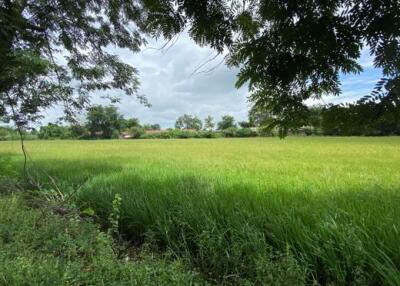 21,896 Sqm. Land listed for ฿ 11,496,000.