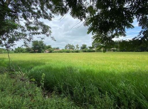 21,896 Sqm. Land listed for ฿ 11,496,000.