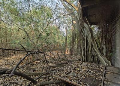 ที่ดิน สนามชัย ราคาพิเศษ!