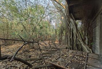 ที่ดิน สนามชัย ราคาพิเศษ!