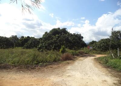 33,308 Sqm. Land listed for ฿ 7,800,000.