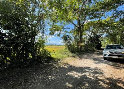 11,952 Sqm. Land listed for ฿ 9,413,000.