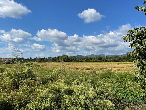 11,952 Sqm. Land listed for ฿ 9,413,000.