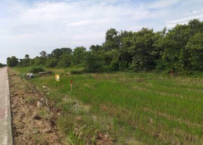 7,880 Sqm. Land listed for ฿ 9,309,000.