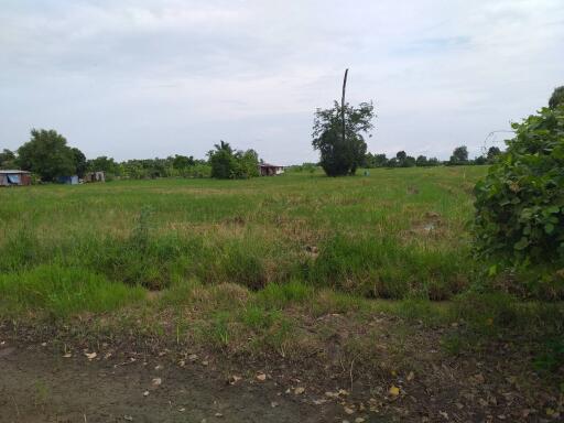 7,880 Sqm. Land listed for ฿ 9,309,000.