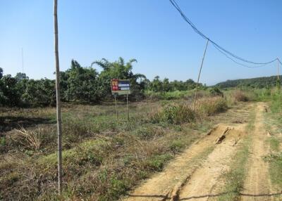 35,016 Sqm., 1 Bed Land listed for ฿ 6,600,000.