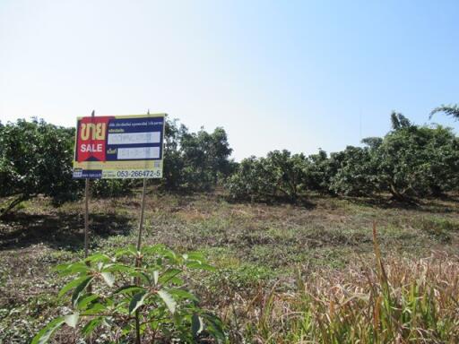 35,016 Sqm. Land listed for ฿ 6,600,000.