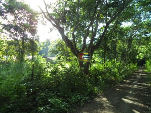 36,771 Sqm. Land listed for ฿ 8,570,000.