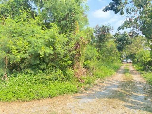 620 Sqm. Land listed for ฿ 8,143,000.