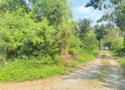620 Sqm., 1 Bed Land listed for ฿ 8,143,000.