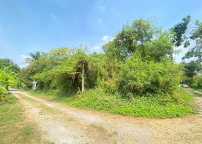 620 Sqm. Land listed for ฿ 8,143,000.