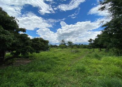 55,616 Sqm. Land listed for ฿ 5,300,000.