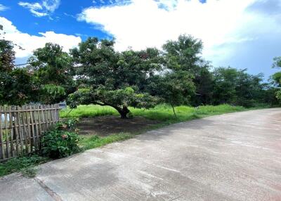 55,616 Sqm. Land listed for ฿ 5,300,000.