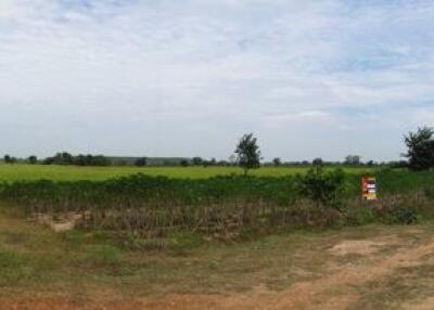 52,080 Sqm. Land listed for ฿ 5,900,000.