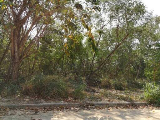 2,232 Sqm. Land listed for ฿ 6,445,000.