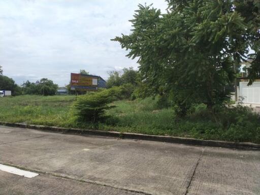 1,308 Sqm. Land listed for ฿ 6,181,000.