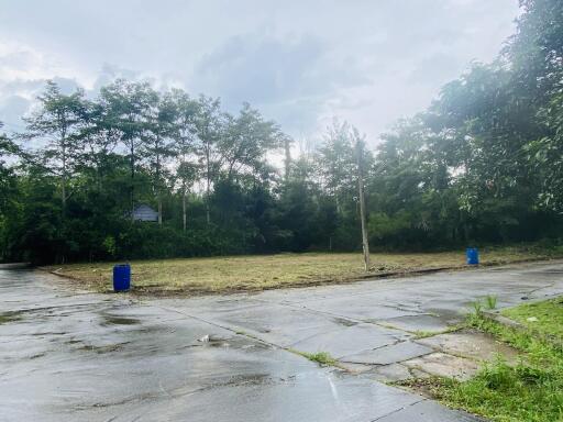 1,342 Sqm. Land listed for ฿ 4,500,000.