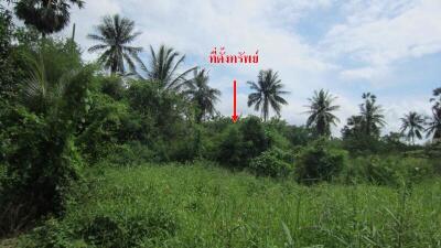 3,324 Sqm. Land listed for ฿ 5,585,000.