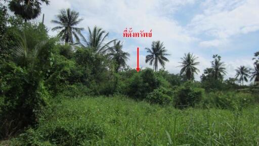 3,324 Sqm. Land listed for ฿ 5,585,000.