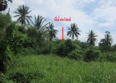 3,324 Sqm., 1 Bed Land listed for ฿ 5,585,000.