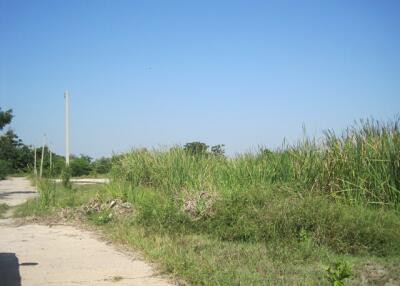 19,914 Sqm. Land listed for ฿ 5,228,000.