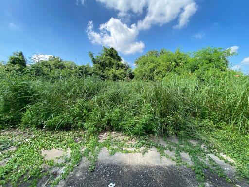 5,630 Sqm., 1 Bed Land listed for ฿ 5,173,000.
